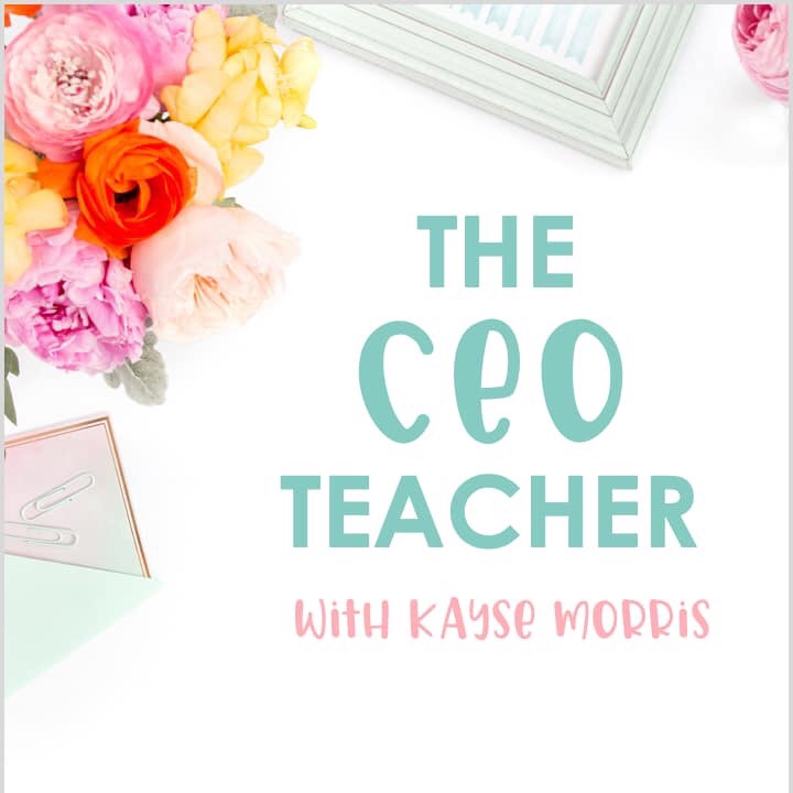 The CEO teacher is designed for teachers who want to never complain about their teaching salary again. This is great for teachers on the verge of leaving the classroom. 
